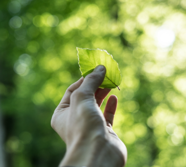 Papersnap Sustainable