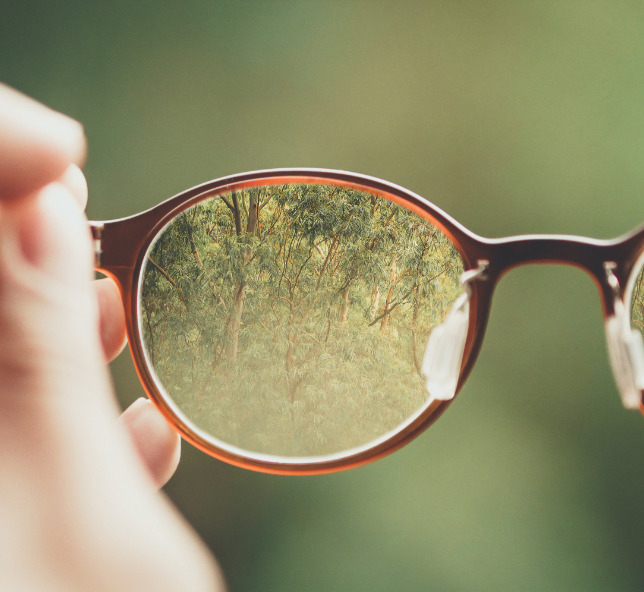 Sustainability image